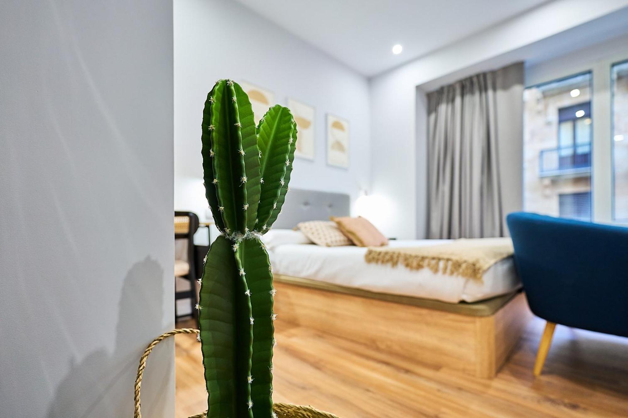 Apartamentos Esperanza By Gaiarooms Salamanca Buitenkant foto